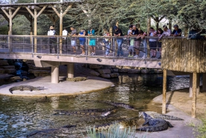 Dubai: Dubai Krokodillenpark Toegangsbewijs