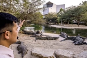 Dubai: Dubai Crocodile Park Entry Ticket