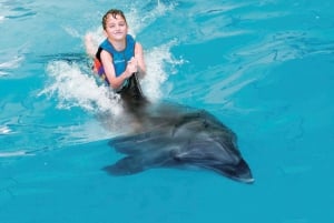 Dubai: Dubai Dolphinarium Dolphin, Seal & Bird Show Tickets