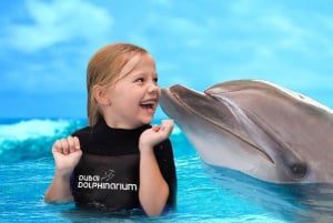 Dubai: Dubai Dolphinarium Dolphin, Seal & Bird Show Tickets