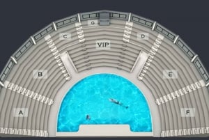 Dubai: Dubai Dolphinarium Dolphin, Seal & Bird Show Tickets