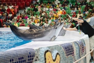 Dubai: Billetter til Dubai Dolphinarium Dolphin, Seal & Bird Show