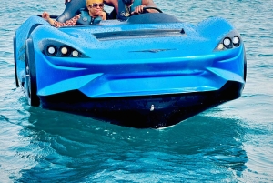 Dubai Paseo en Jetcar por el puerto deportivo de Dubai