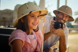 Dubai: Dubai Safari Park Entry Pass