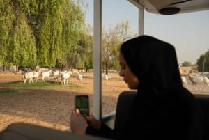 Dubai: Dubai Safari Park Entry Pass