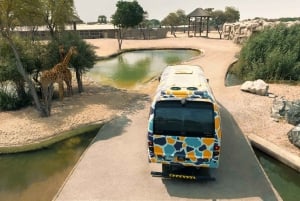 Dubai: Dubai Safari Park Entry Pass