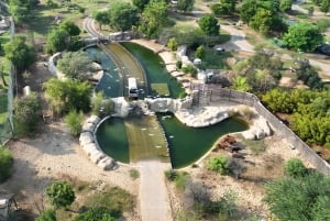 Dubai: Dubai Safari Park Entry Pass