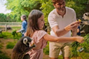 Dubai: Dubai Safari Park Entry Pass