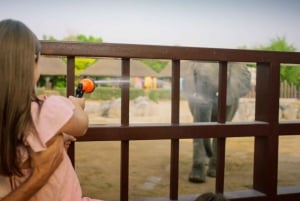 Dubai: Dubai Safari Park Entry Pass