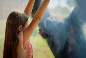 Dubai: Dubai Safari Park Entry Pass