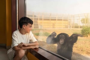 Dubai: Dubai Safari Park Entry Pass