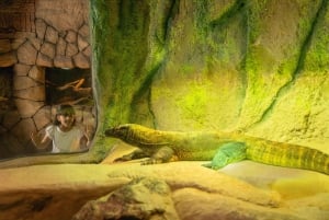 Dubai: Dubai Safari Park Entry Pass