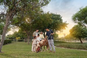 Dubai: Dubai Safari Park Entry Pass