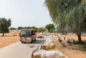 Dubai: Dubai Safari Park Entry Pass