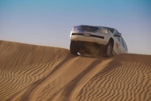 Dubai: Dune Bashing, Camel, Sandboarding, BBQ & Live Shows