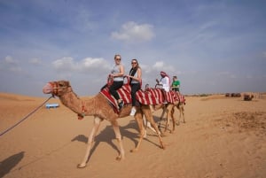 Dubai: ørkensafari med sandbuggy, kamelridning og sandboarding