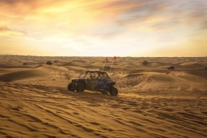 Dubai: ørkensafari med sandbuggy, kamelridning og sandboarding
