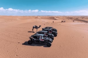 Dubai Dune Buggy Ride: Experience the Thrill as a Passenger.