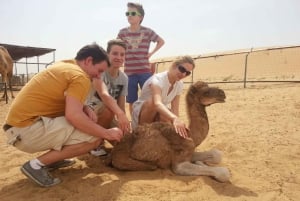 Dubai: Quad-Fahrt durch die Dünen, Kamele und Sandboarding