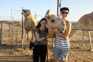 Dubai: quadrijden door de duinen, kamelen en zandboarden