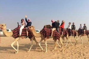 Dubai: Quad rijden in duinen, kamelen en zandboarden