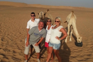 Dubai: Dune Quad Drive, Camels And Sand Boarding