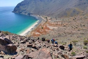 Dubai: Helppo vaellusreitti Al Rabissa ja Khorfakkanin kiertue