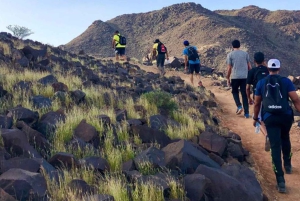 Dubai: Helppo vaellusreitti Al Rabissa ja Khorfakkanin kiertue