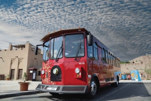 Dubaï : Expérience culturelle émiratie avec repas émirati