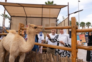 Dubai: Emirati culturele ervaring met Emirati Meal