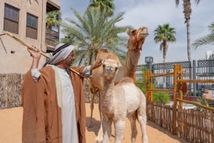 Dubaï : Expérience culturelle émiratie avec repas émirati