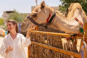 Dubai: Emirati Culturele Ervaring met Emirati Maaltijd