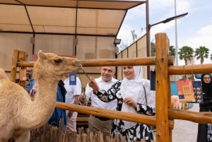 Dubai: Emirati Culturele Ervaring met Emirati Maaltijd