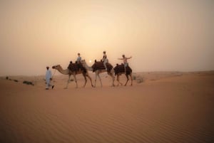 Dubai: Evening Camel Safari & Bedouin Dinner at Al Marmoom