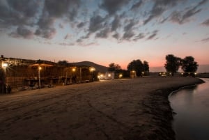 Dubai: Trekking serale a dorso di cammello e cena all'Oasi di Al Marmoom