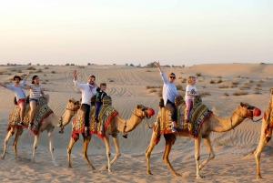 Dubai: Kamelvandring på kvällen och middag på Al Marmoom Oasis