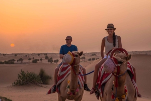 Dubai: Abendliches Kamel Trekking & Abendessen in der Al Marmoom Oase