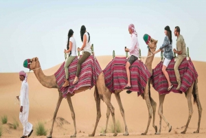 Dubai: Illallinen aavikkosafari, illallinen, esitykset, kameliratsastus