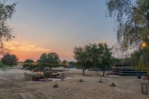 Dubai: Ilta-aavikkosafari kameliratsastuksella ja tähtien katselulla