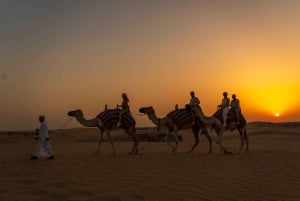 Dubai: Avondwoestijnsafari met kamelenrit en sterrenkijken