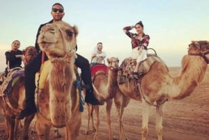 Dubai: Red Dunes Desert Safari med buffémiddag på kvällen