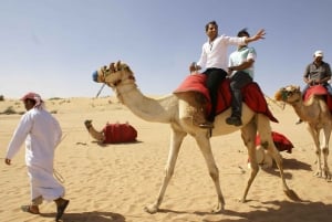 Dubai: Evening Tour with Quad Biking, Camel Ride, and BBQ