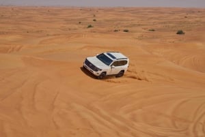 Dubaï : Dîner VIP exclusif de safari dans le désert avec spectacle en direct