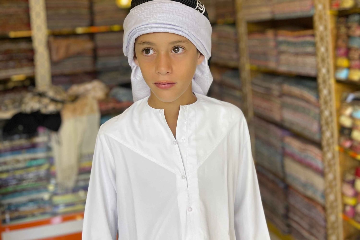 Dubai: privat dagstur på fransk