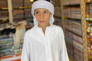 Dubai: privat dagstur på fransk