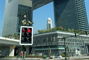 Dubai: privat dagstur på fransk