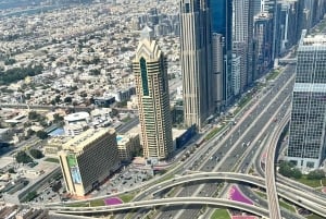 Dubai: privat dagstur på fransk