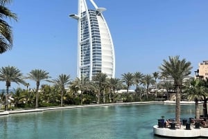 Dubai: privat dagstur på fransk