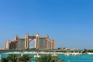 Dubai: privat dagstur på fransk