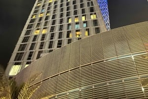 Dubai: privat dagstur på fransk